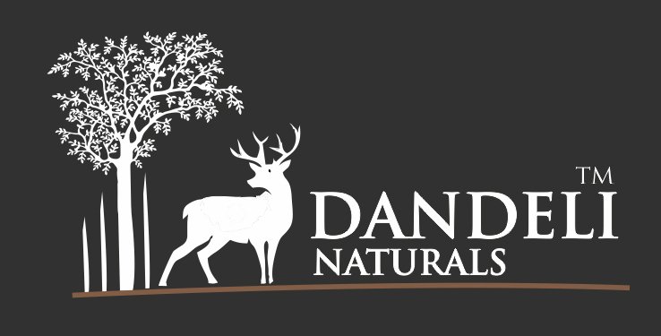 dandelinaturals.com